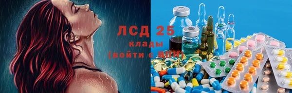 молекула духа Бородино