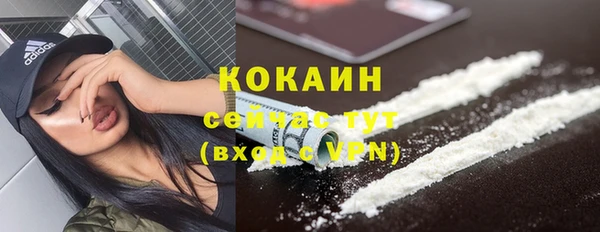 твердый Бронницы