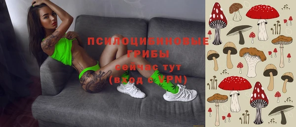 твердый Бронницы