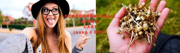 твердый Бронницы