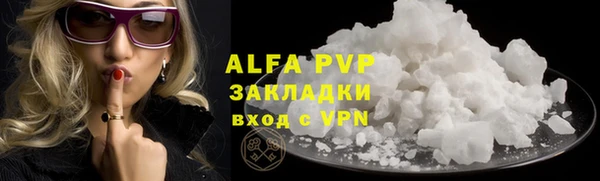 молекула духа Бородино