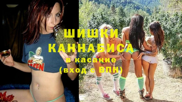 молекула духа Бородино
