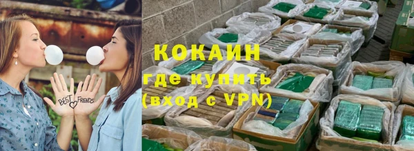 молекула духа Бородино
