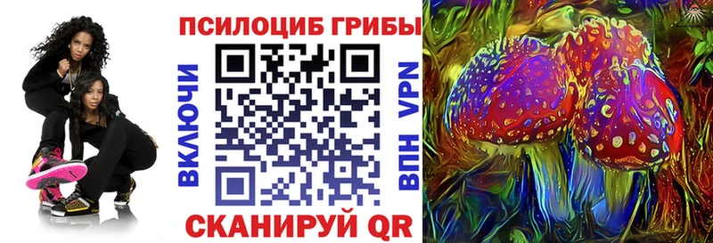 Псилоцибиновые грибы Psilocybe  shop наркотические препараты  Ангарск  сколько стоит 